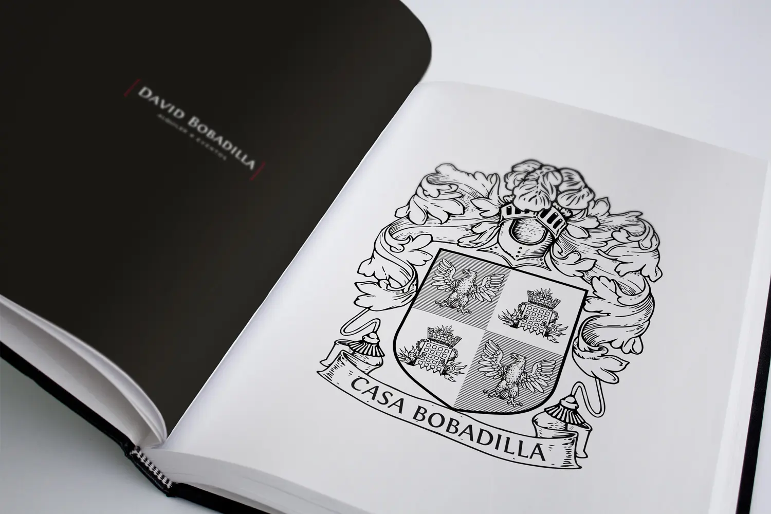 Escudo de armas Casa Bobadilla