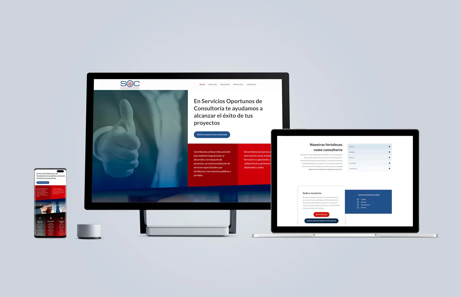 Servicios Oportunos de Consultoría